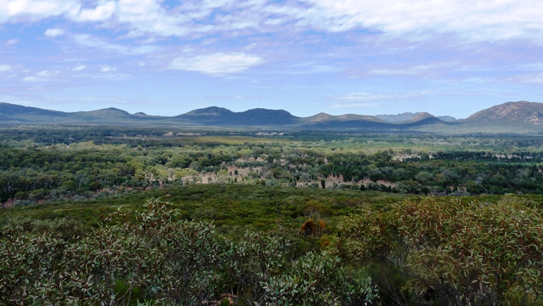 Blick vom Wangarra Lookout in die Wilpena Pound